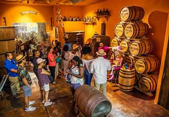 Cabo San Lucas & San Jose Land´s End Tour - Image 3