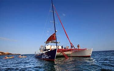 Snorkel & Lunch Catamaran - Image 5