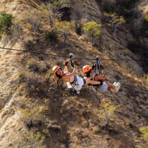 Monster Ziplines