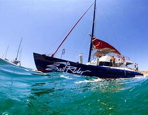 Snorkel & Lunch Catamaran - Image 2