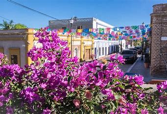 Todos Santos Magical Town Tour - Image 3