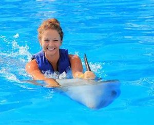 Swim with Dolphins