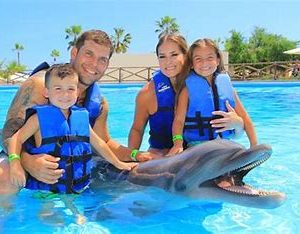 Dolphin Encounter