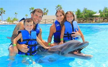 Dolphin Encounter