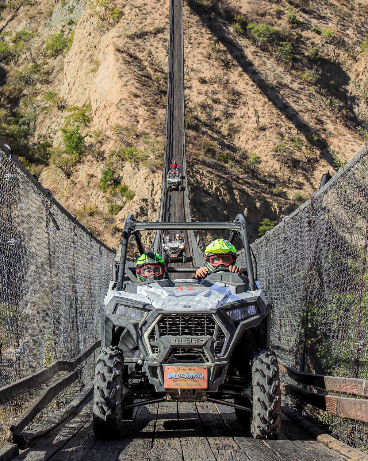 UTVS Wild Canyon